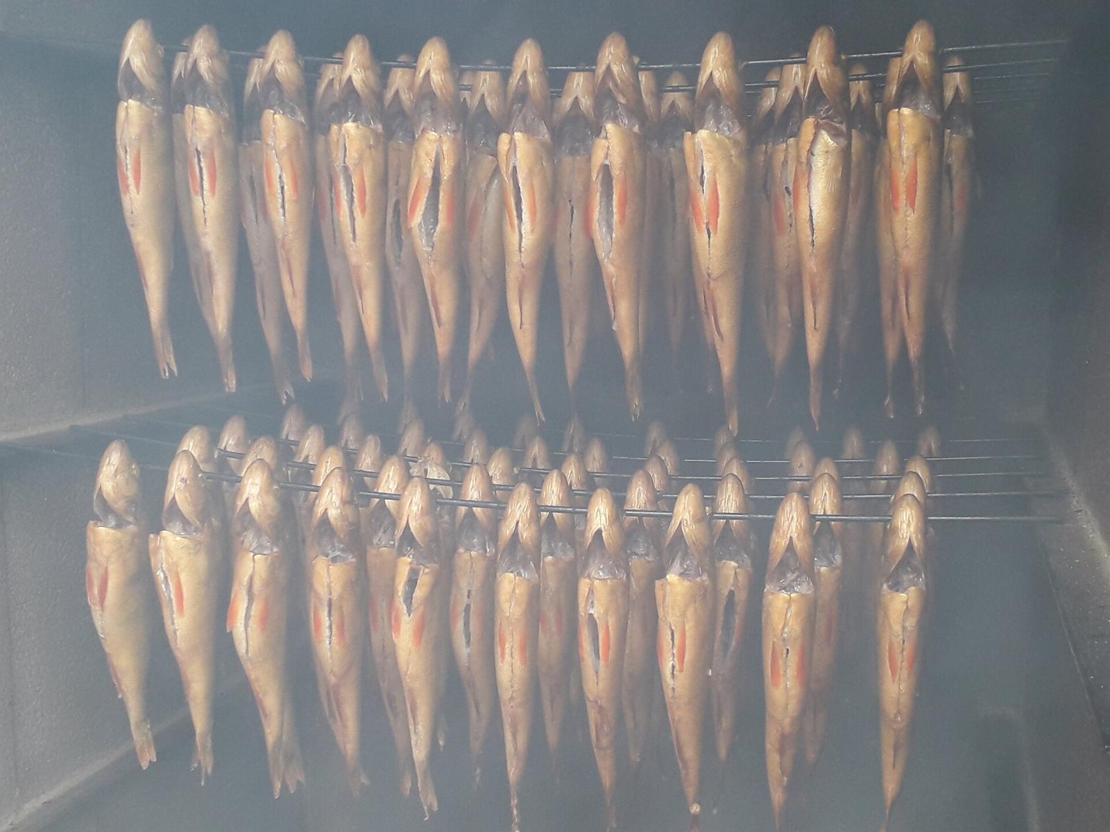 fish-workshop-visit-estonia_ fish-workshop-visit-estonia_