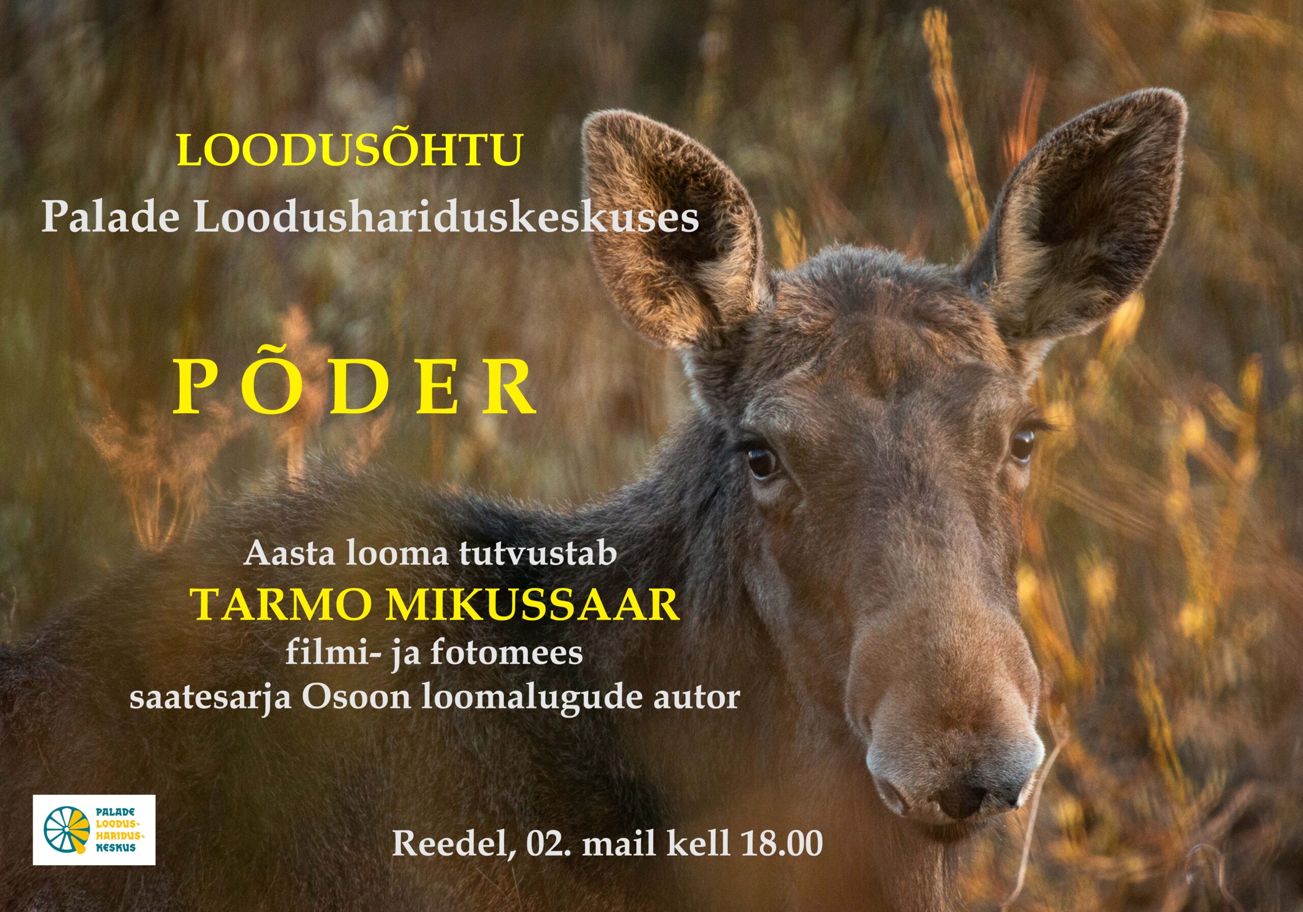 Tarmo Mikussaar