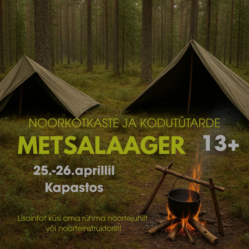 metsalaager metsalaager