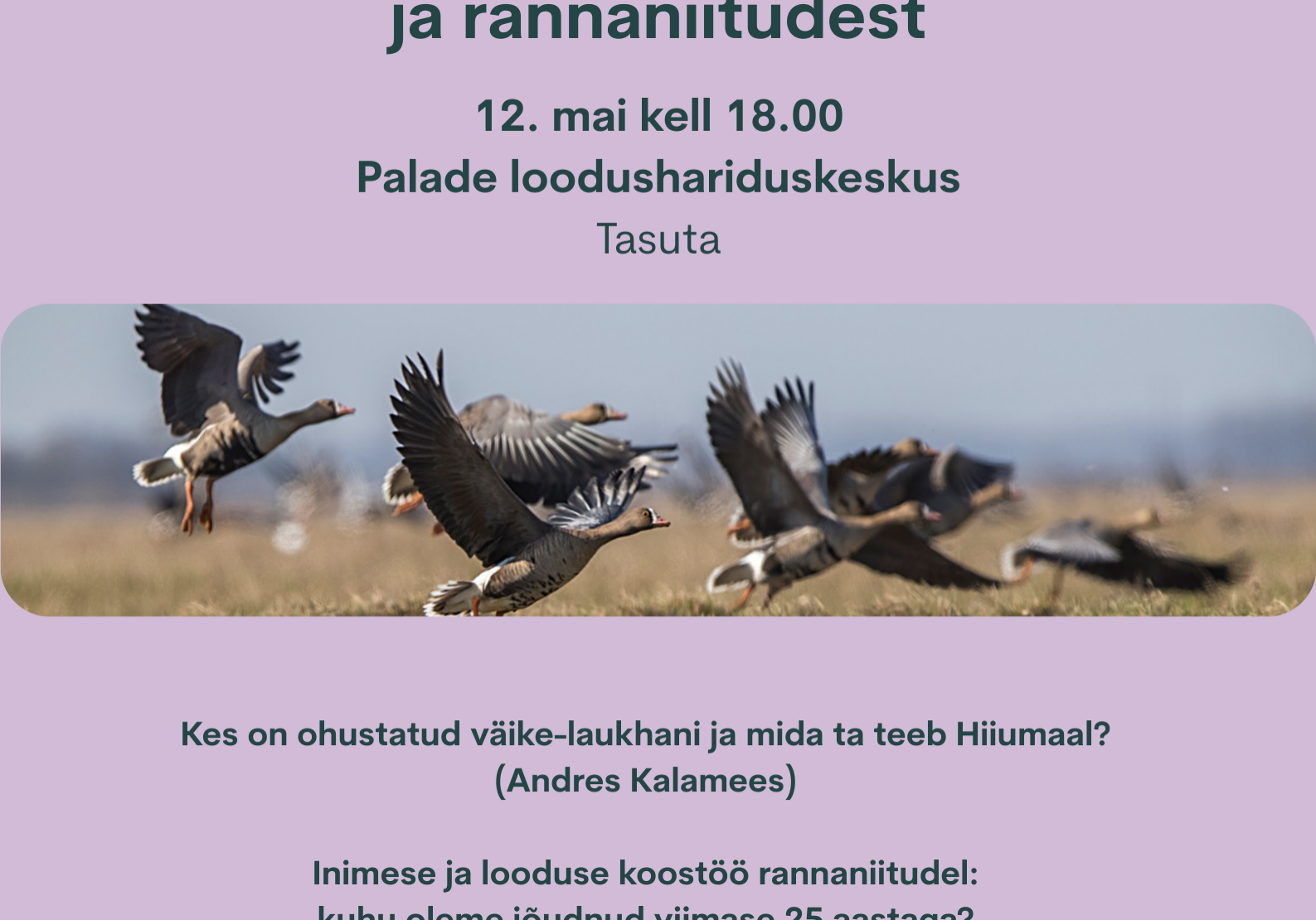 Eettekandeõhtu väike- laukhanest ja rannaniitudest Eettekandeõhtu väike- laukhanest ja rannaniitudest