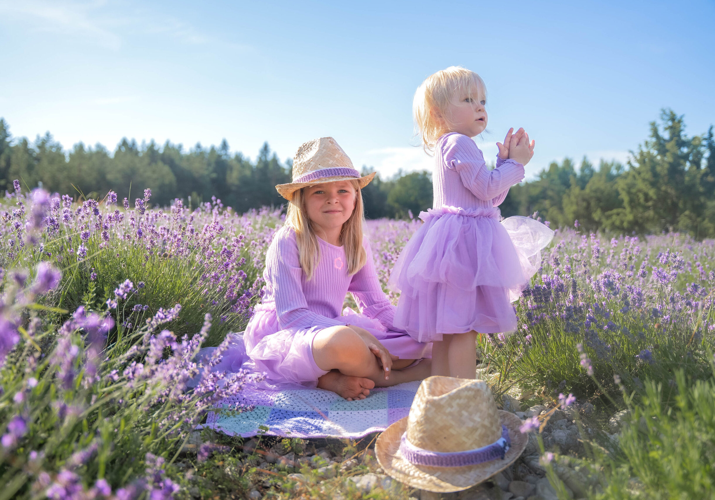 Avatud Talude Päevad Lavendlitalus, laupäeval 12. juulil Haavapuufoto