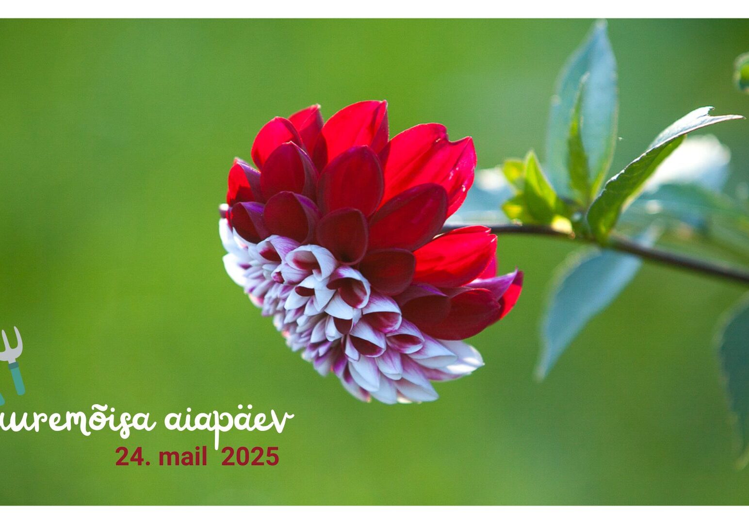 HAK aiapäev 2025_hiiumaa.ee_1920 x 1080 HAK aiapäev 2025_hiiumaa.ee_1920 x 1080