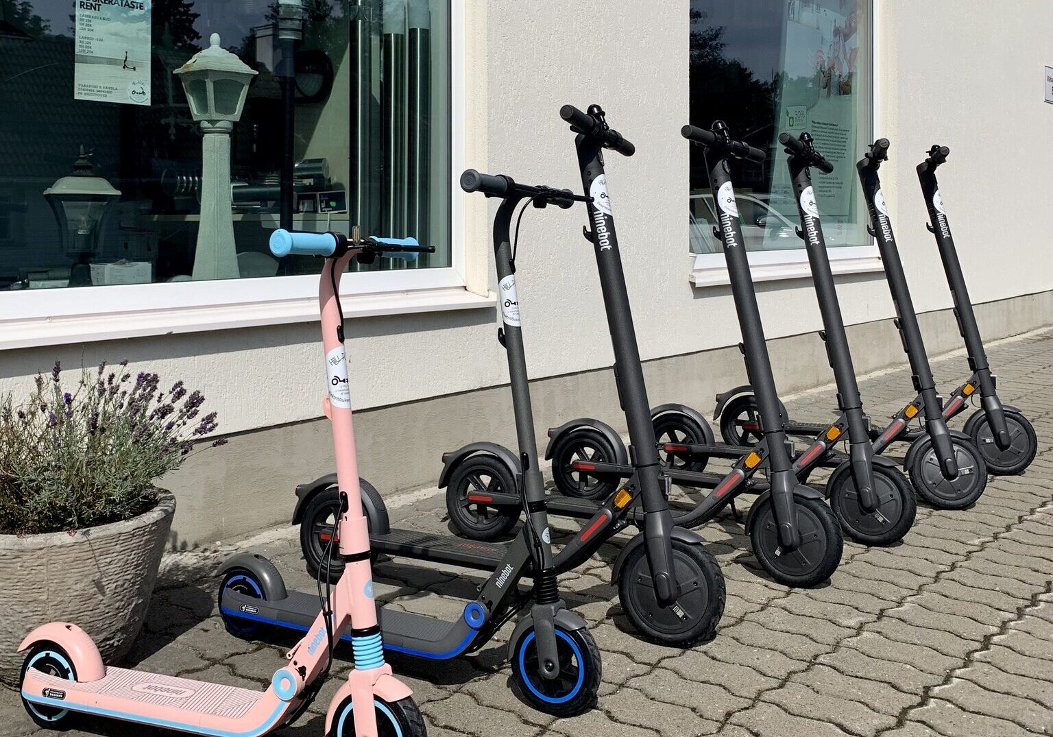 Hiiu Tõuks Hiiu Tõuks