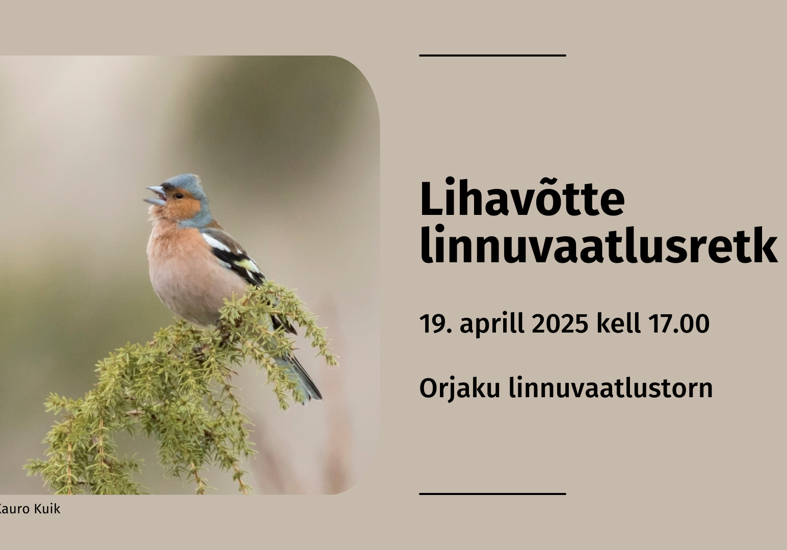 Lihavõtte linnuvaatlusretk Kauro Kuik / Eesti Ornitoloogiaühing