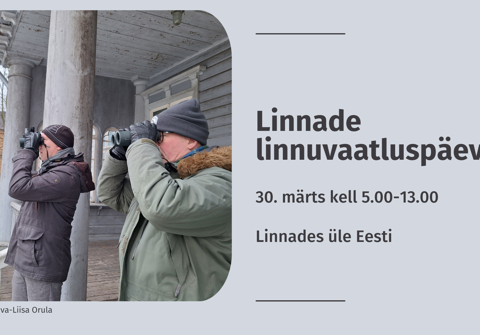Linnade linnuvaatluspäev Eva-Liisa Orula / Eesti Ornitoloogiaühing