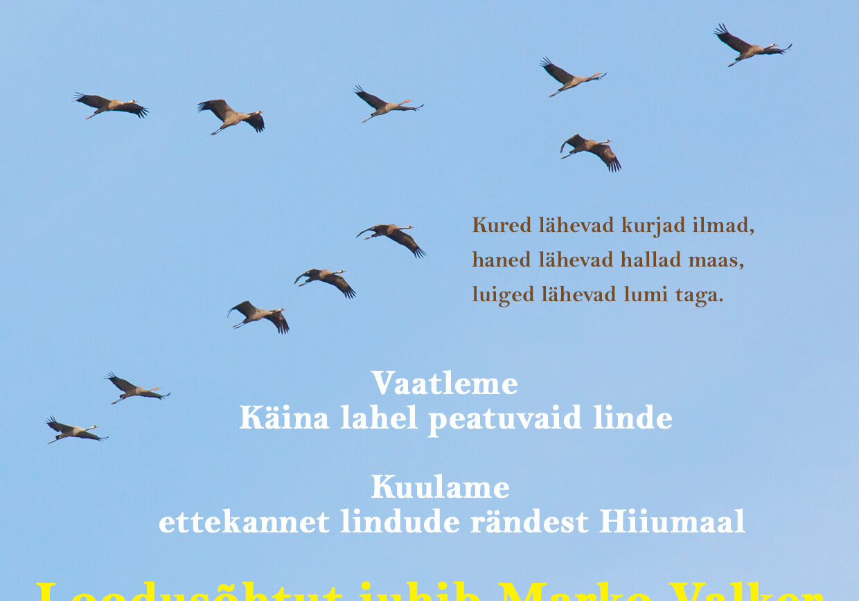 Loodusõhtu Linnutornis Loodusõhtu Linnutornis