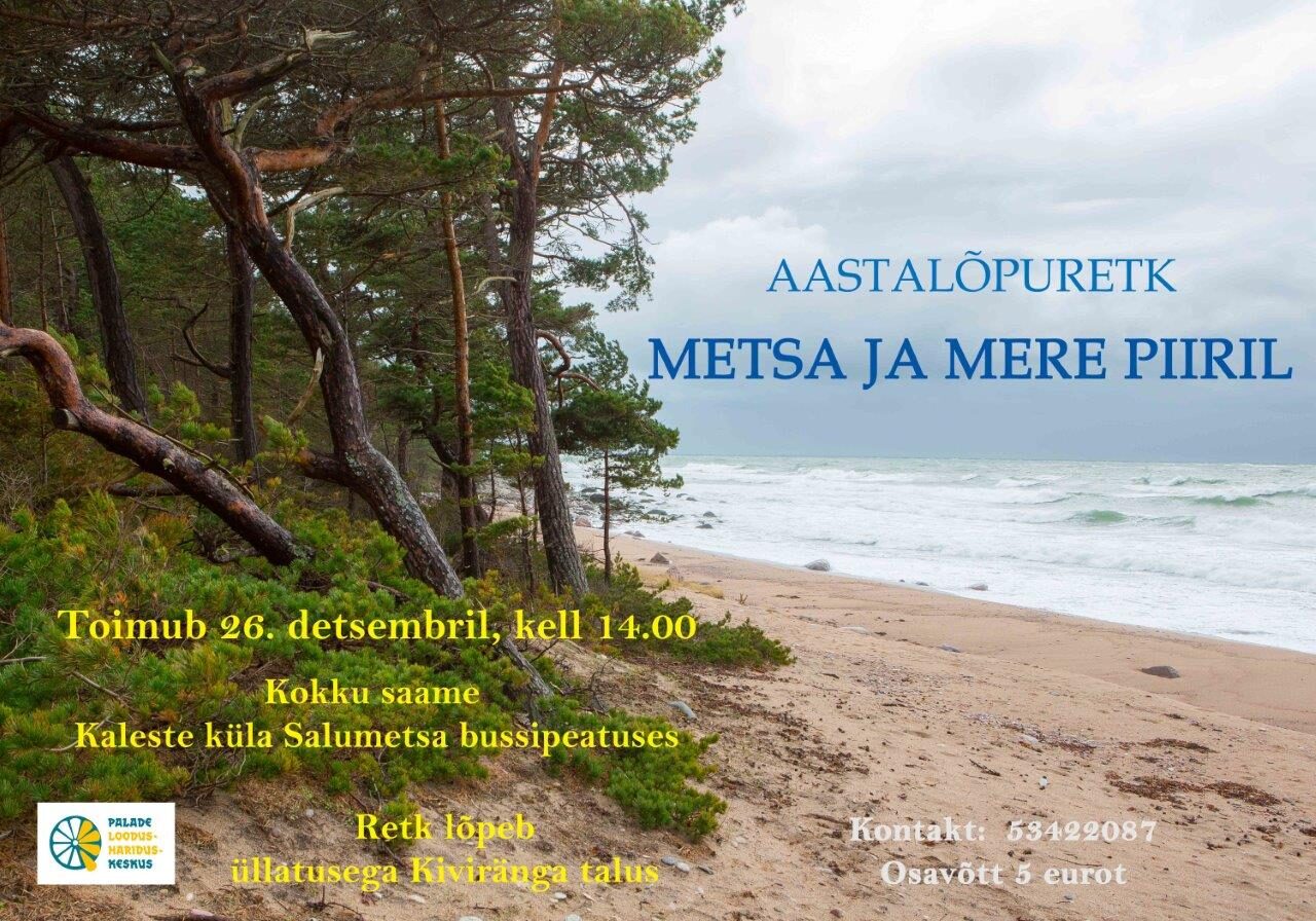 Aastalõpuretk METSA JA MERE PIIRIL Tiit Leito