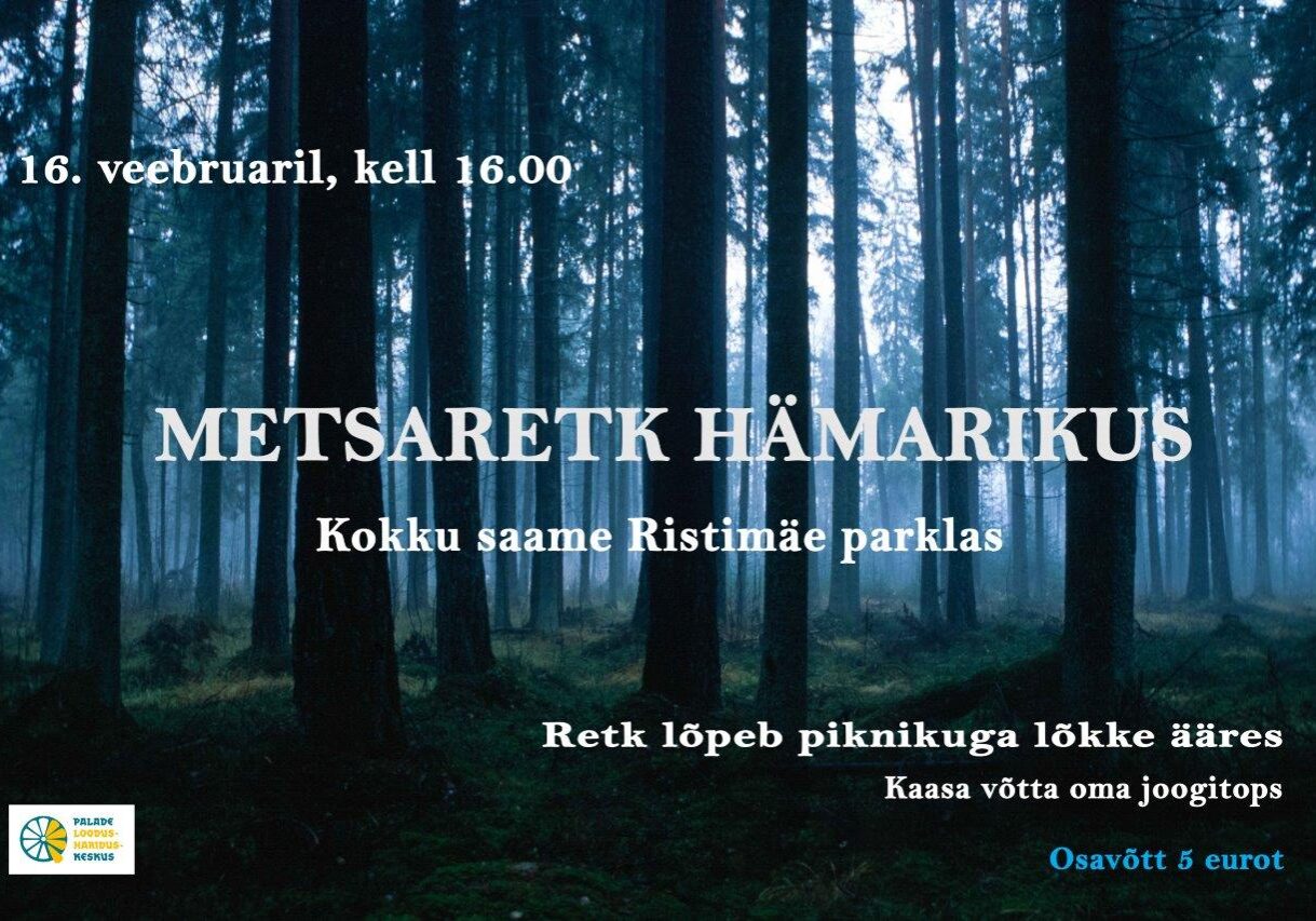 Metsaretk hämarikus(4) Metsaretk hämarikus(4)