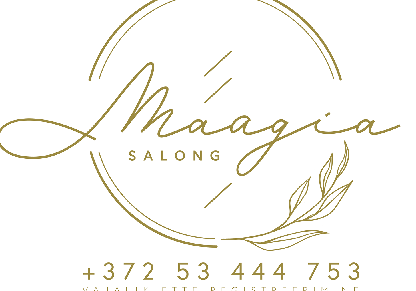 Salong maagia