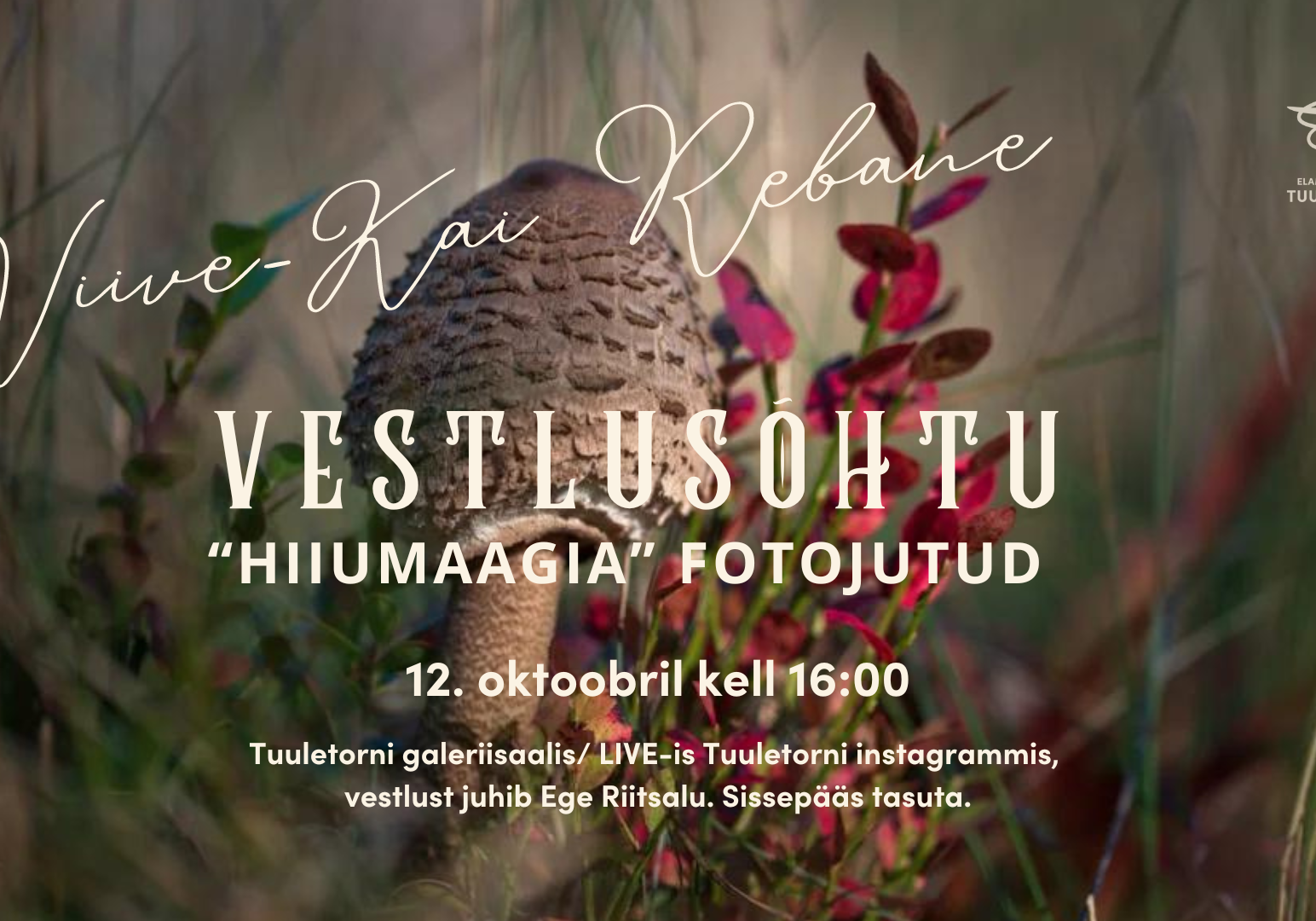 Viive-Kai Rebane fotojutud Viive-Kai Rebane fotojutud