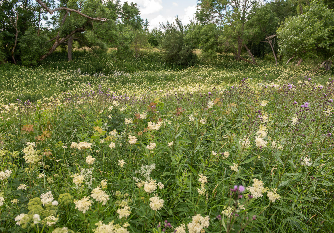 hiiumaa.ee-8236 hiiumaa.ee-8236