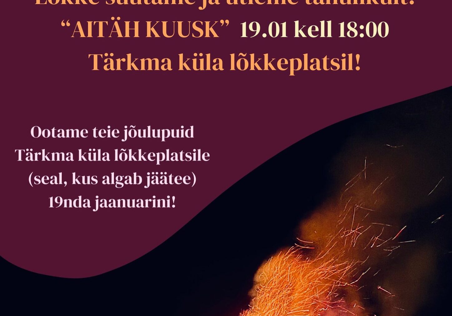 kuusk