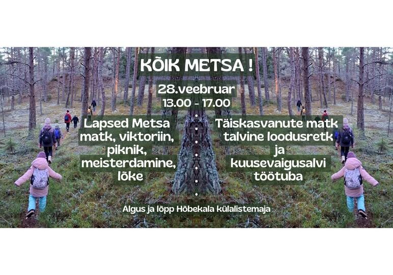metsa metsa