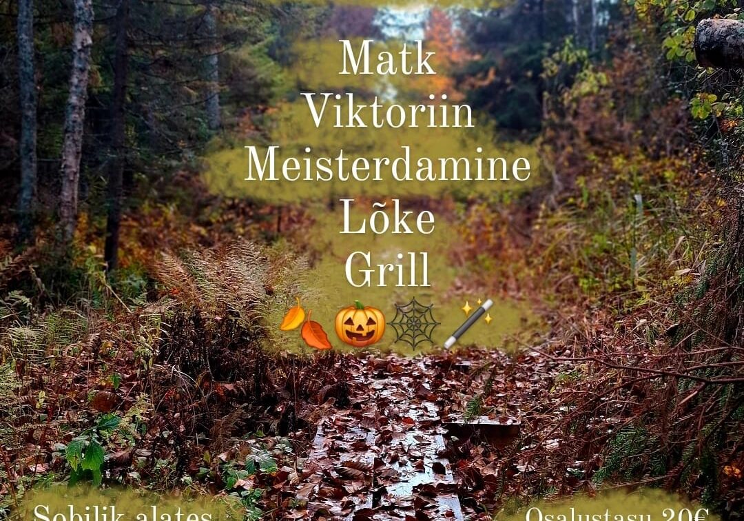 metsa metsa