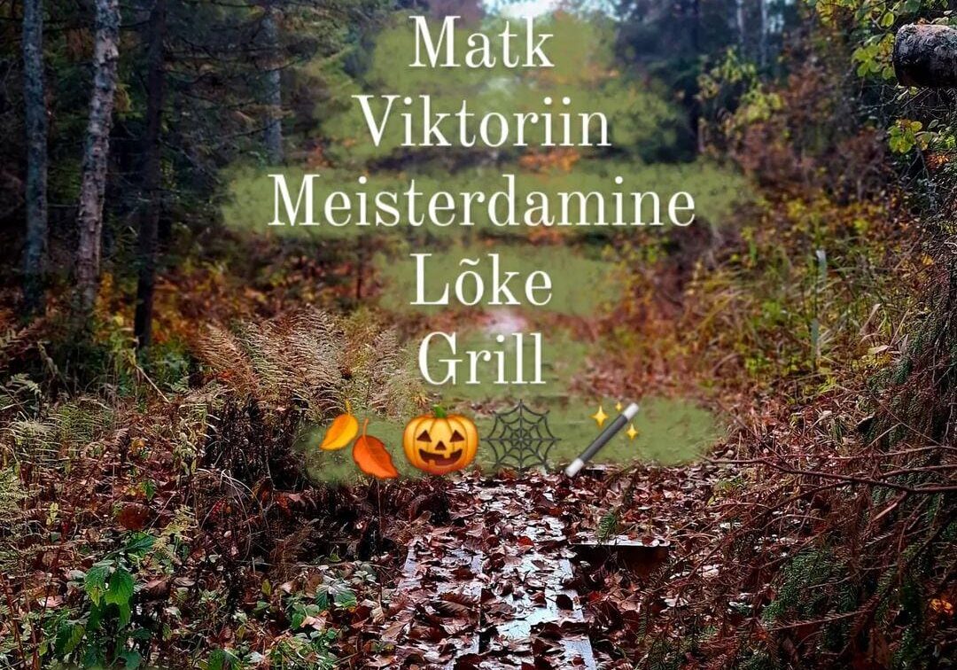 metsa_kaleste metsa_kaleste