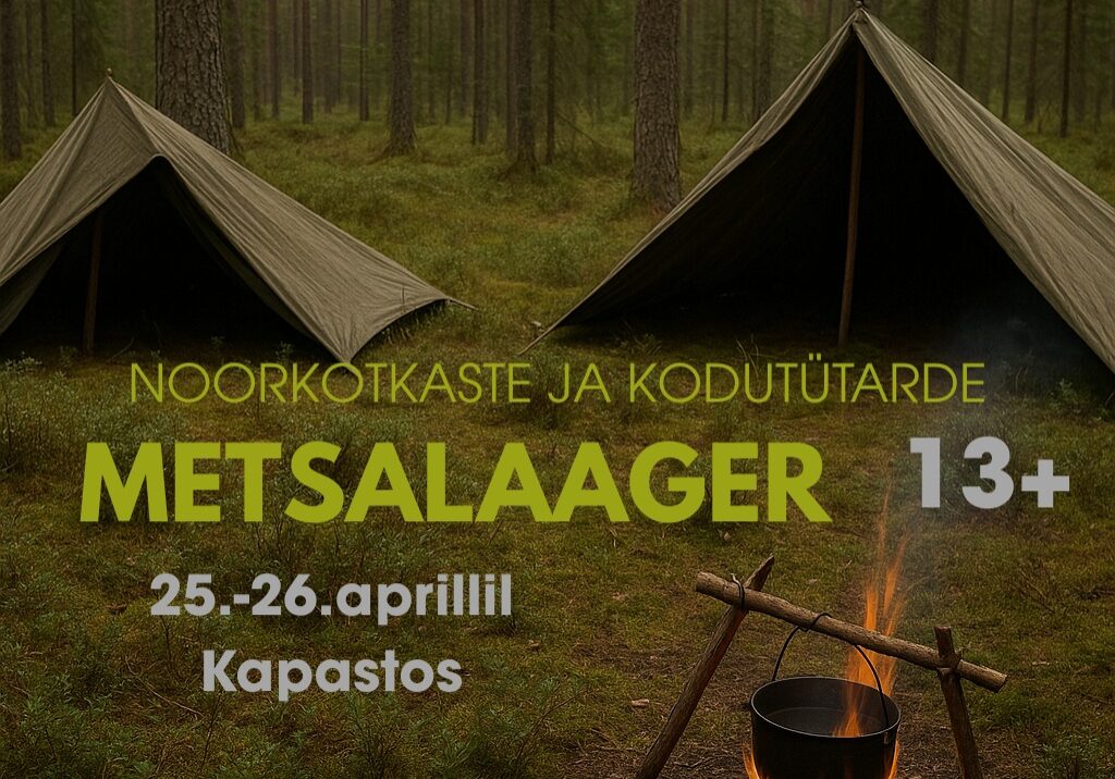 metsalaager metsalaager