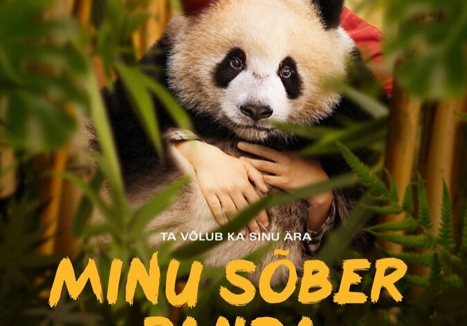 panda panda