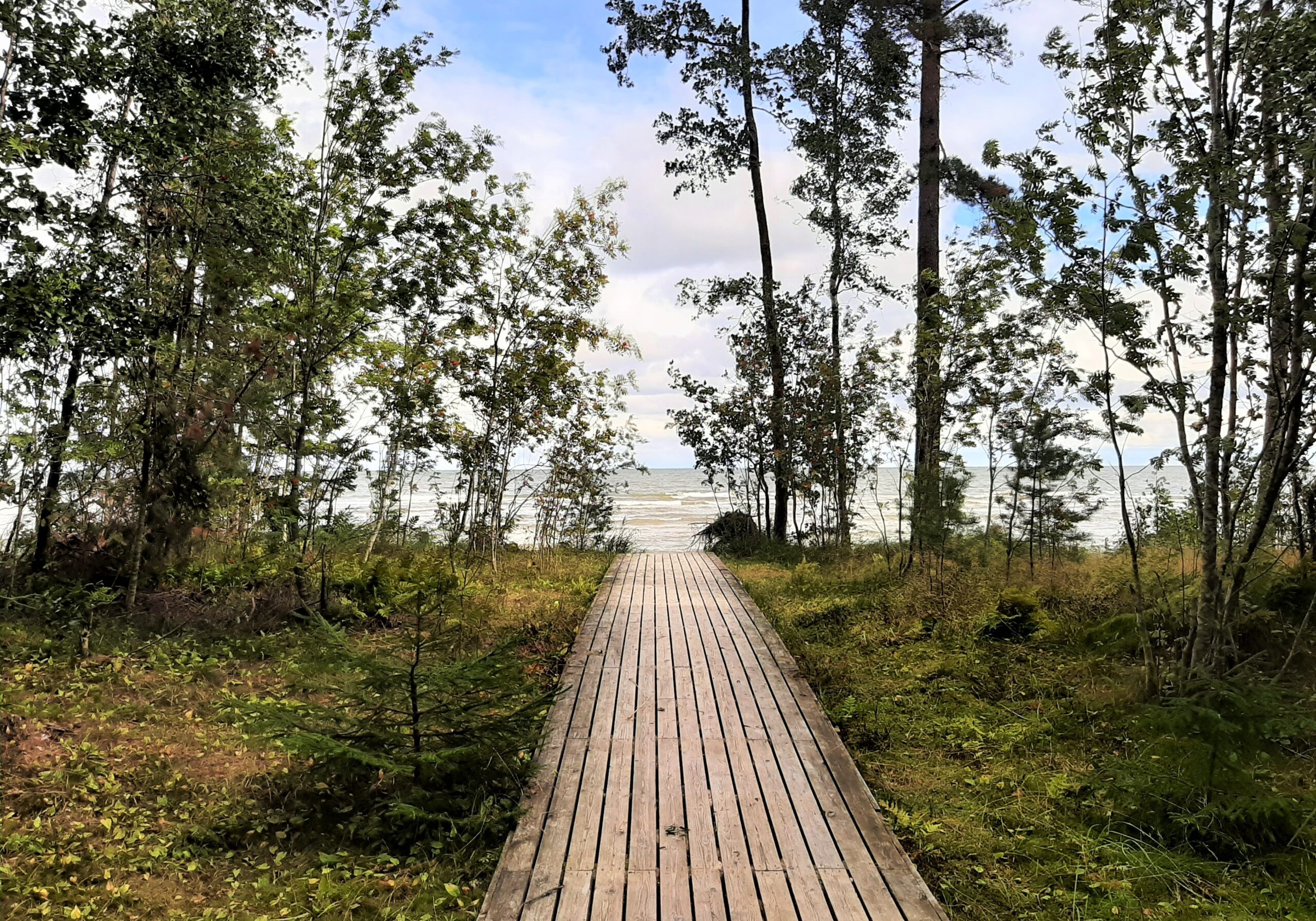 torvanina-opperada-puhka-eestis-hiiumaa-rmk torvanina-opperada-puhka-eestis-hiiumaa-rmk
